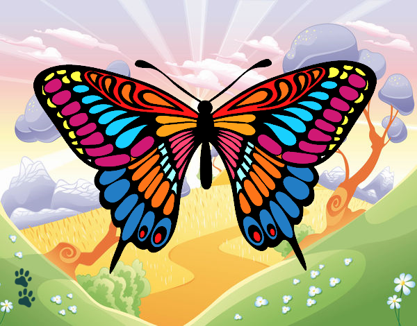 Dibujo Mariposa gran mormón pintado por cecil13
