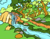 Dibujo Paisaje de bosque con un río pintado por estrellado