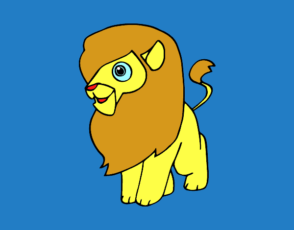Un león