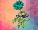 Dibujo Una rosa pintado por staxxgirl1