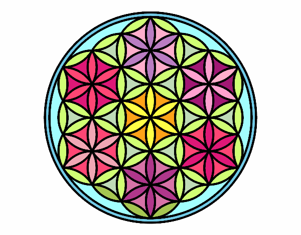 Dibujo Mandala flor de vida pintado por johana34