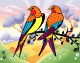 Dibujo Pareja de pájaros pintado por cecil13