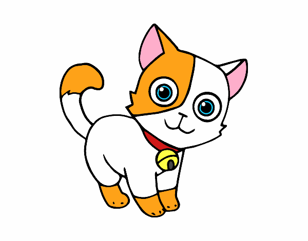 Dibujo Gato doméstico pintado por Hanabi23