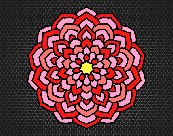 Mandala pétalos de flor