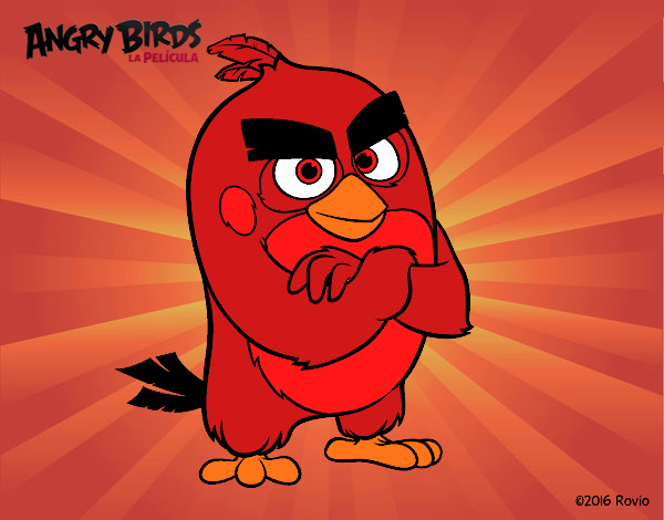 Dibujo Red de Angry Birds pintado por DEMIAN4