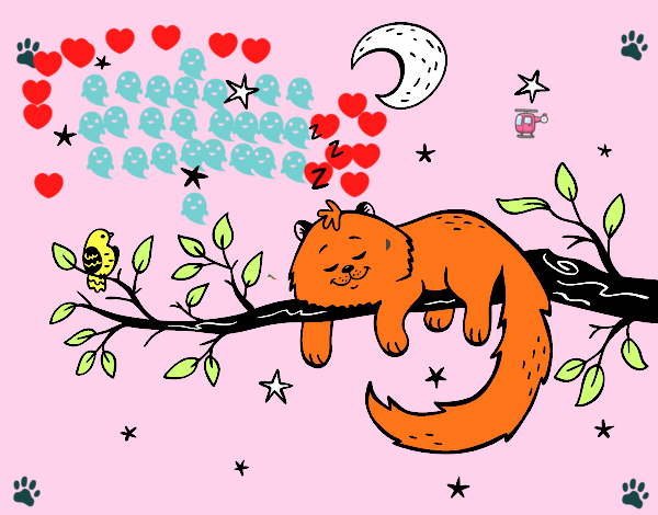 El gato y la luna