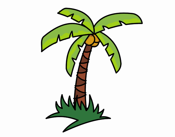 Dibujo Palmera tropical pintado por acarocr 