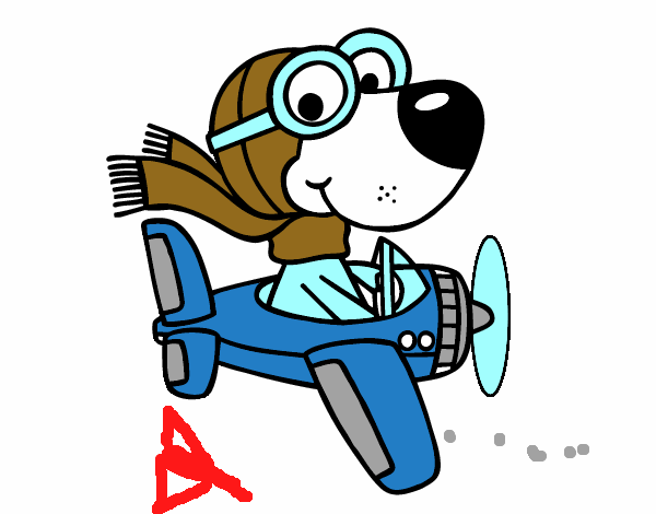 Perro piloto