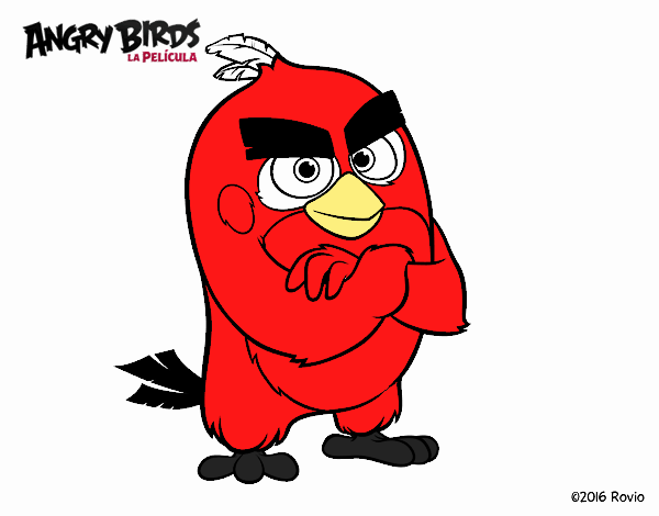 Dibujo Red de Angry Birds pintado por Sammy0923