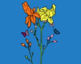 Dibujo Flor de Iris pintado por marga2016