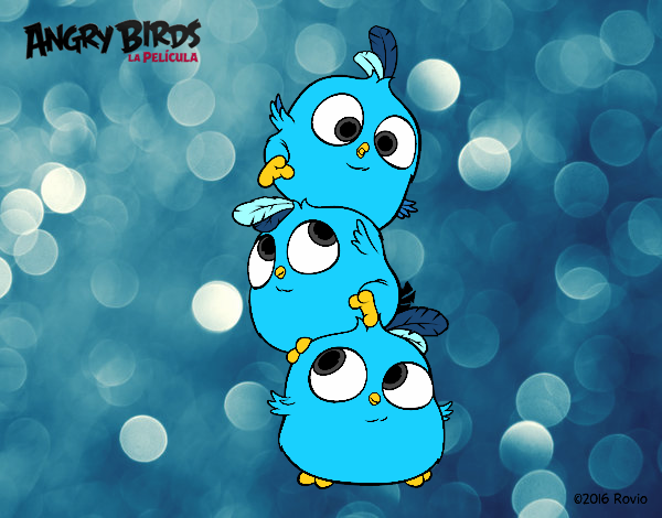 Dibujo Las crias de Angry Birds pintado por AmyyErin