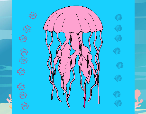 la   medusa     es  rosada