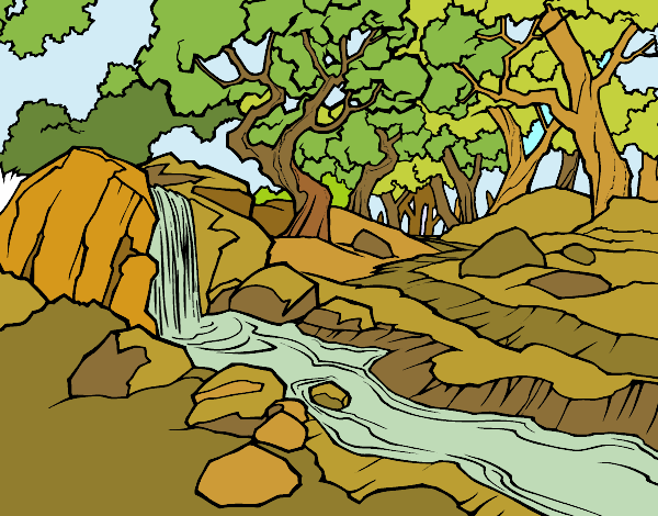 Dibujo Paisaje de bosque con un río pintado por Peusa
