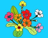 Dibujo Primula pintado por marga2016