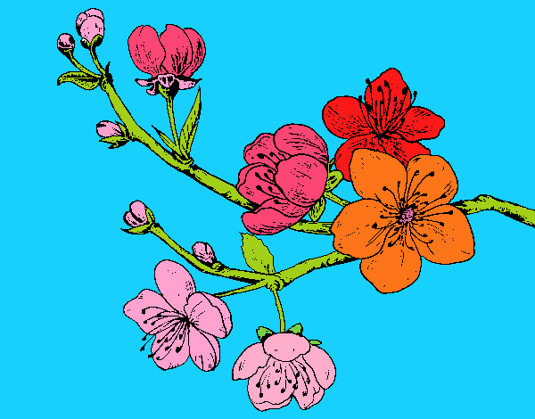 Dibujo Rama de cerezo pintado por marga2016