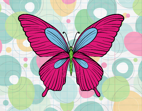 Dibujo Mariposa tropical pintado por natzumi