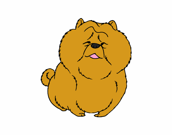 Dibujo Chow Chow pintado por meagan