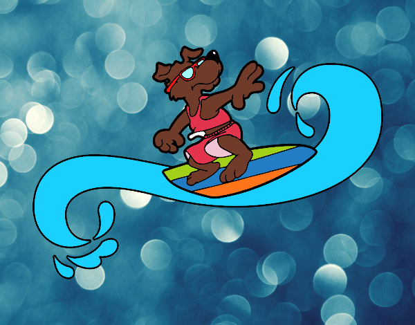 Perro surfeando