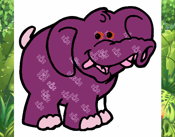 Elefante 6