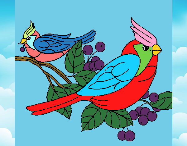Dibujo Pájaros pintado por roxita124