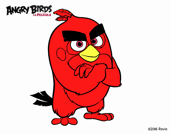 Dibujo Red de Angry Birds pintado por J1z5m3