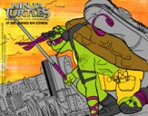 Donatello de Ninja Turtles