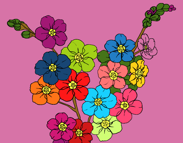 Dibujo Flor de cerezo pintado por BellaDulce