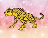 Dibujo Un leopardo pintado por kikinxita 