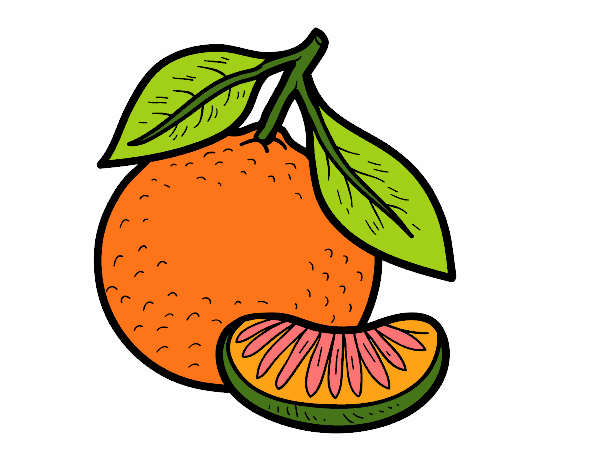 Dibujo Una mandarina pintado por CAR55