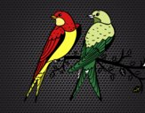 Dibujo Pareja de pájaros pintado por martanoemi