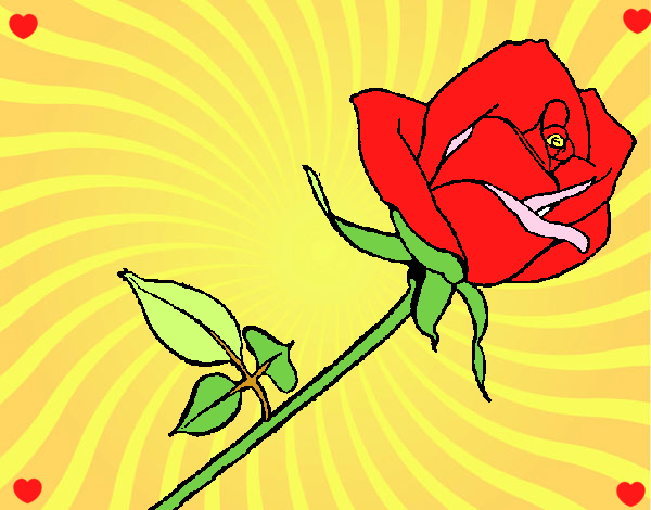 Dibujo Rosa pintado por martanoemi