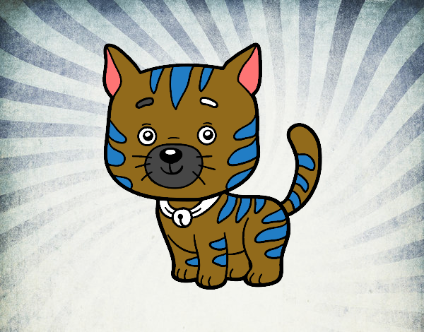 Dibujo Un gato doméstico pintado por Dsimphony