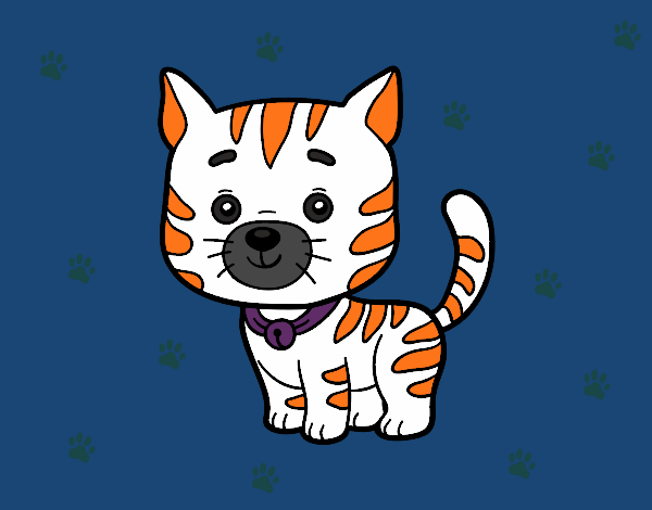 Dibujo Un gato doméstico pintado por linda423