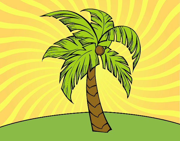 Una palmera