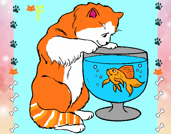 Gato mirando al pez