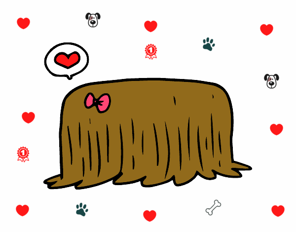 Dibujo Perro komondor pintado por brendibu