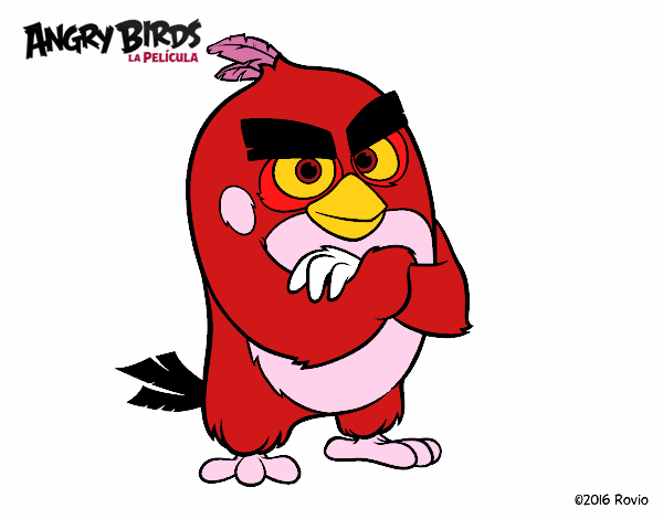 Dibujo Red de Angry Birds pintado por PESER