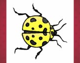 Dibujo Mariquita 1 pintado por Ladybug