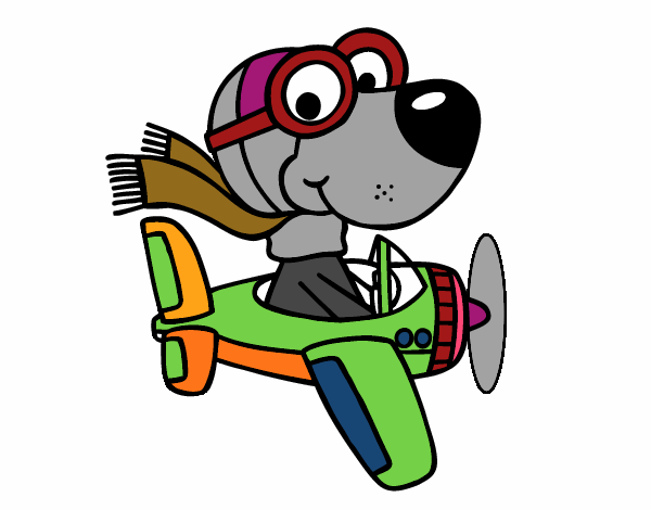 Perro piloto