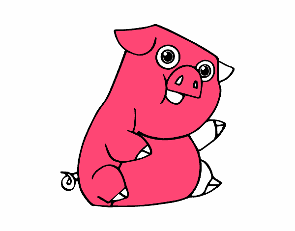 Un cerdo 