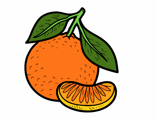 Dibujo Una mandarina pintado por elenacc