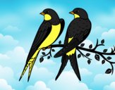 Dibujo Pareja de pájaros pintado por Marive