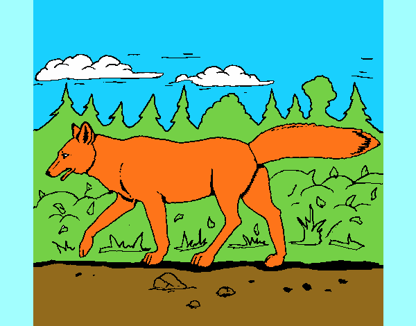 Dibujo Coyote pintado por carlitoslo