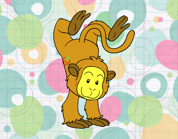 mono marabilloso