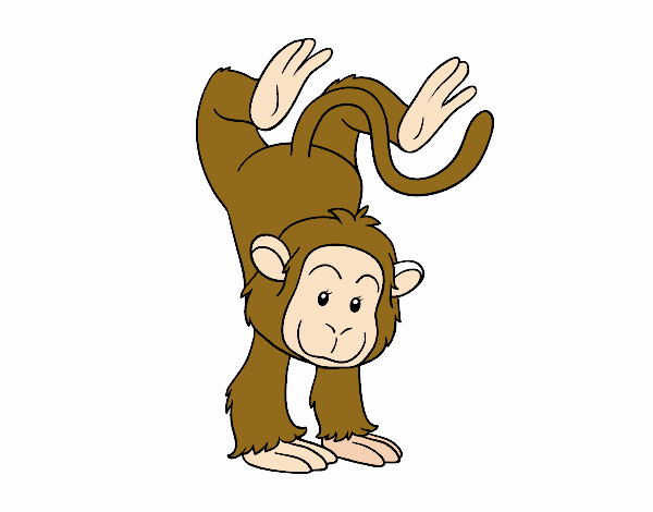 Mono equilibrista