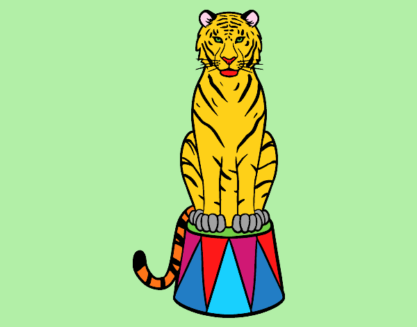 Tigre de circo
