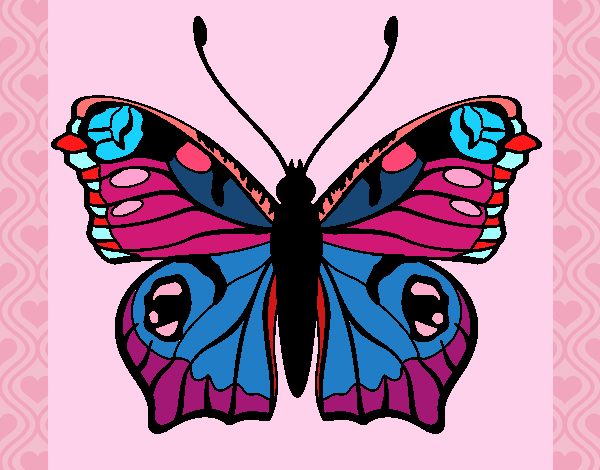 Dibujo Mariposa 20 pintado por dandanhooo