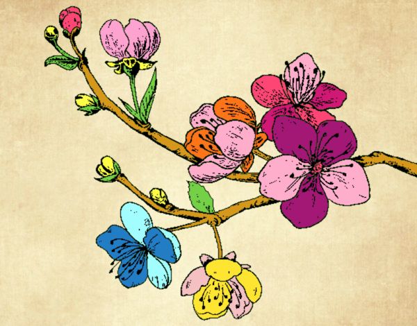 Dibujo Rama de cerezo pintado por fakita