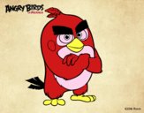 Dibujo Red de Angry Birds pintado por fanyluj