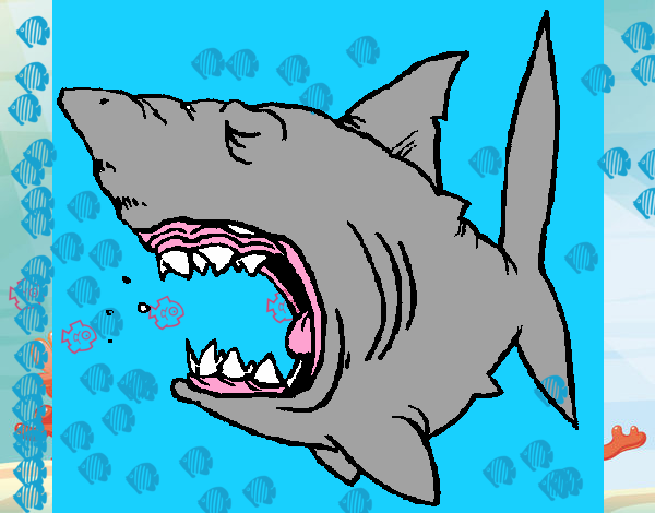Tiburón 1